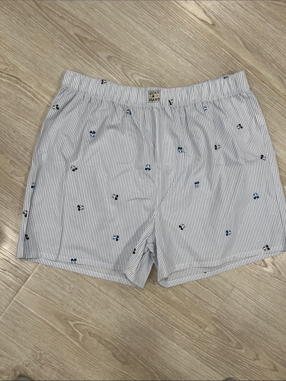 Lucky Brand Light Blue Pinstripe Boxers with Navy Embroidery